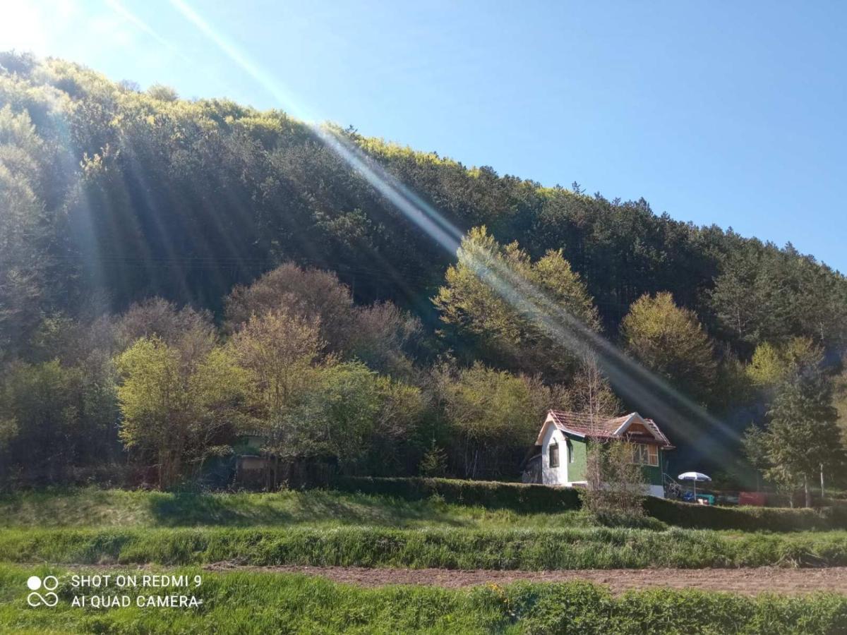 Vikendica Vrelo Pirot Exterior foto